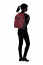 Рюкзак для ноутбука Samsonite 10N*003 Rewind Laptop Backpack L 16″ 10N-20003 20 Capri Red Stripes - фото №4