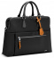 Женская сумка для ноутбука Roncato 412324 Woman BIZ Laptop Briefcase 15.6″ 412324-01 01 Black - фото №1