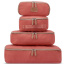 Набор упаковочных чехлов Delsey 001676036 Chatelet Air 2.0 Set of 4 Packig Cubes
