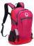 Маленький рюкзак Delsey 003335610 Nomade Backpack S 13″ 00333561009 09 Peony - фото №1