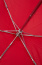 Зонт автоматический Samsonite CJ9*213 Karissa Umbrellas Auto O/C Slim CJ9-40213 40 Formula Red - фото №3