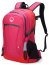 Спортивный рюкзак Delsey 003335611 Nomade Backpack M 14″ 00333561109 09 Peony - фото №1