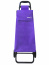 Хозяйственная сумка-тележка Garmol 10BS Poli.Liso на шасси Basic 10BS C-14 C-14 Фиолетовый - фото №3