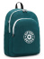 Рюкзак для ноутбука Kipling KI65211RM Curtis L Large Backpack 15″ Vintage Green
