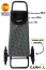 Хозяйственная сумка-тележка Garmol 218G3х3 Flash на шасси G3x3 218G3х3 FLASH C-848 Серый - фото №1