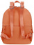 Женский рюкзак Samsonite CV3*024 Move 3.0 Backpack CV3-46024 46 Maple Orange - фото №4