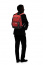 Рюкзак для ноутбука Samsonite CS4*004 Safton Laptop Backpack 15.6″ CS4-10004 10 Barn Red/Black - фото №4