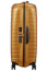 Чемодан на колёсах Samsonite CW6*002 Proxis Spinner 69 см CW6-06002 06 Honey Gold - фото №7