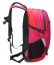 Спортивный рюкзак Delsey 003335611 Nomade Backpack M 14″ 00333561109 09 Peony - фото №6