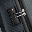 Чемодан Delsey 003101821 Binalong 4DW Trolley Case L 77 см