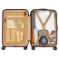 Чемодан-мобильный офис Rivacase 8181 Clark ECO Hand Cabin Luggage 55 см 15.6" 