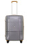Чемодан с колесами Hinomoto Echolac 1124TS080-240 Atlas Pro M 65 см 1124TS080919240 Silver - фото №3