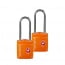 Замок с ключами Samsonite CO1*039 Travel Accessories Key Lock TSA X2 CO1-96039 96 Orange - фото №3