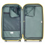 Чемодан Delsey 002181828 Rempart 4DW Trunk 80 см Expandable