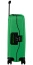 Чемодан на защелках Samsonite 10U*003 S'Cure Spinner 55 см 10U-54003            54 Cactus Green - фото №9