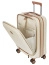 Чемодан-мобильный офис Bric's BAH08450 Taormina 21″ Carry-on with Pocket  55 см 17″ USB Expandable BAH08450.014 014 Cream - фото №2