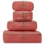 Набор упаковочных чехлов Delsey 001676036 Chatelet Air 2.0 Set of 4 Packig Cubes