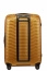 Чемодан на колёсах Samsonite CW6*002 Proxis Spinner 69 см CW6-06002 06 Honey Gold - фото №5