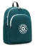 Рюкзак для ноутбука Kipling KI65211RM Curtis L Large Backpack 15″ Vintage Green KI65211RM Green - фото №1
