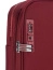 Чемодан Robinzon RS5742-M Montreal Spinner M 67 см RS5742-M-89 89 Bordeaux - фото №4