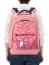 Школьный рюкзак для девочек Delsey Academie 003389621 2-compartment Backpack 15.6″ 00338962119 19 Pink - фото №4