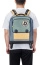 Школьный рюкзак на колесах для мальчиков Delsey Academie 003389453 4 Wheel Vertical Backpack 15.6″ 00338945313 13 Cactus - фото №4