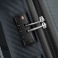 Чемодан Delsey 003101821 Binalong 4DW Trolley Case L 77 см