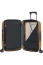 Чемодан на колёсах Samsonite CW6*001 Proxis Spinner 55 см USB Expandable CW6-06001 06 Honey Gold - фото №3