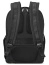 Рюкзак для ноутбука с чехлом Delsey 002102610 DLC PRO Laptop Backpack 15.6″ RFID USB Exp 