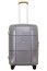 Чемодан с колесами Hinomoto Echolac 1124TS080-240 Atlas Pro M 65 см 1124TS080919240 Silver - фото №3
