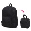Складной рюкзак Delsey 003950050 Travel Accessories Foldable Backpack 38 см