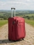 Чемодан на 2 колёсах 4 Roads 228 24″ Upright 63 см Expandable 228 (24") брусника Брусничный - фото №3