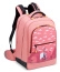 Школьный рюкзак для девочек Delsey Academie 003389621 2-compartment Backpack 15.6″ 00338962119 19 Pink - фото №1